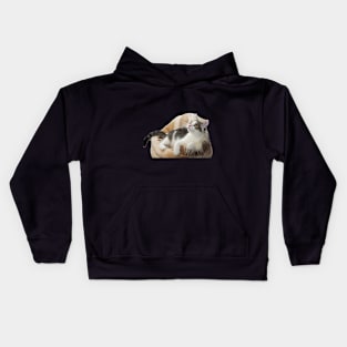 Cushion Kitty Kids Hoodie